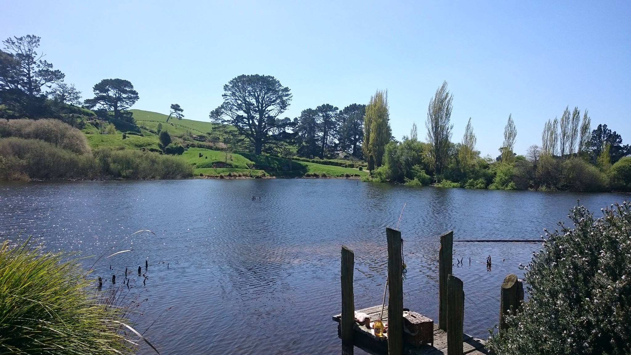 Nueva Zelanda, Aotearoa: El viaje de mi vida por la Tierra Media - Blogs de Nueva Zelanda - Día 7 - 6/10/15 - Hobbiton, Rotorua, Mitai Maori Village y Rainbow Springs (43)