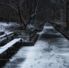 Central Park Winter 2016