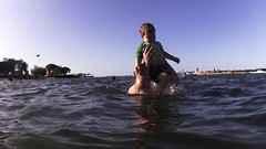 Logan Swimming Broadwater videos