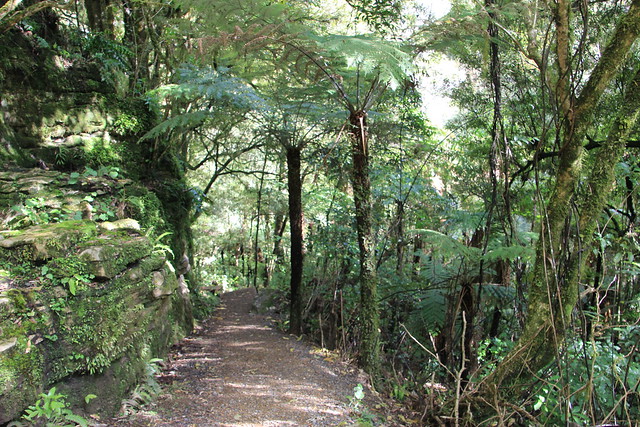 Día 4 - 3/10/15 - Rotorua: Wai - O - Tapu, Te Puia y Waitomo Caves - Nueva Zelanda, Aotearoa: El viaje de mi vida por la Tierra Media (56)