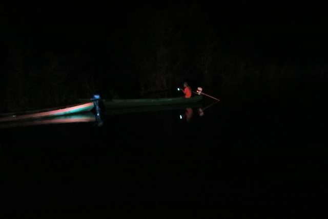 cayman spotting amazon tupana river night