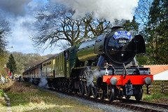 Trains and NYMR
