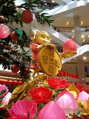 2016-01 Chinese New Year