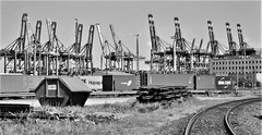 Container Harbour