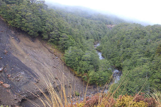 Nueva Zelanda, Aotearoa: El viaje de mi vida por la Tierra Media - Blogs de Nueva Zelanda - Día 9 - 8/10/15 - Tongariro National Park, Mangawhero Falls y Gravity Canyon (19)