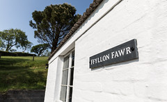 Ffyllon Fawr, Llwyncelyn, Wales