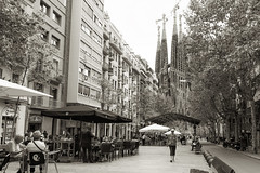 11 Barcelona, Spain