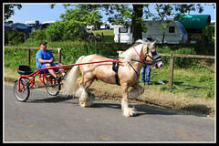 Appleby Horse Fair 2018