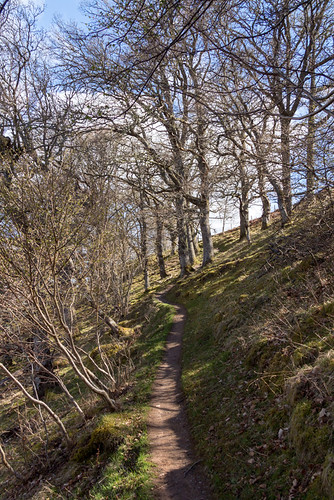 the trail to Divach Falls