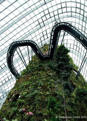 Cloud Forest Dome @ Gardens by the Bay, Singapore