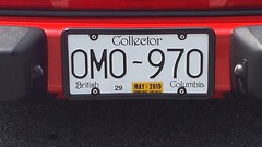 Collector License Plates