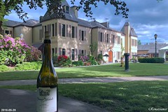 Chateau Ste Michelle - Woodinville Wine Country