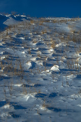 2008-17 Kamloops Winter (2)