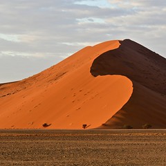 Sossusvlei, Deadvlei (Namibie) 