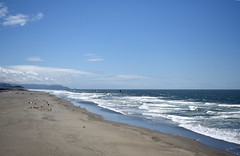 Ocean beach III
