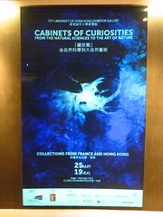 expo "Cabinets of curiosities"
