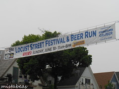 Locust Street Festival 6-10-18