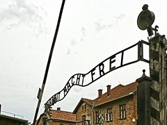 2017 RS Auschwitz
