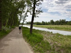 2018 June 9 - Walking the Sheep River Loop in Okotoks Alberta