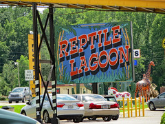Visit To Reptile Lagoon May 26, 2018.