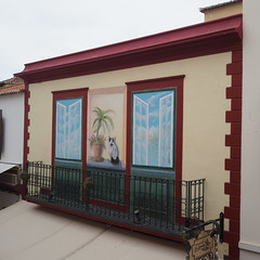 Bemalte Türen & Fenster in Funchal