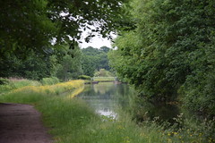 Dunham Massey to Agden Bridge and the Bridgewater Canal