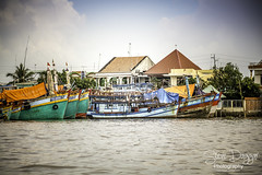 Mekong Delta 2018