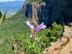 2018 May 27 Enderby Cliffs Hike