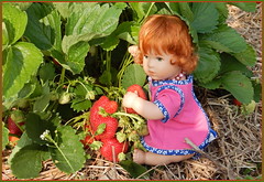 Erdbeerzeit ... süße Kinderzeit ... 