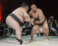 Sumo Wrestling GR