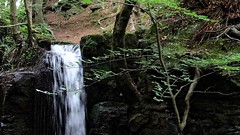 Lumsdale Falls & Ruins