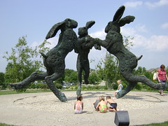 Dancing Hares - 2009