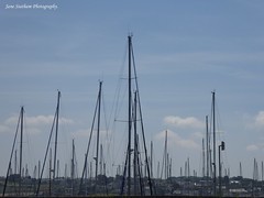 Port de Plaisance, estuary and mini marina 2018.