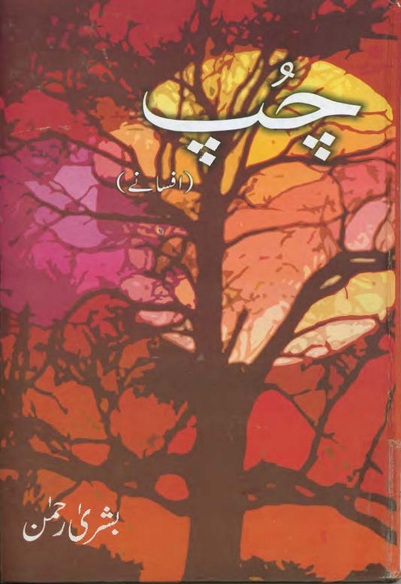 Chup Complete Novel By Bushra Rehman