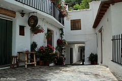 Pampaneira (Granada)