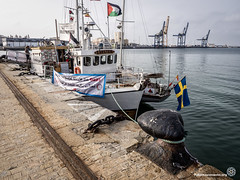 24_06_2018_Flotilla a Gaza en el puerto de Cádiz