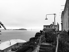 San Francisco beauty