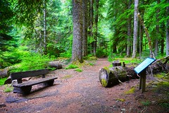 2018-06-23 Lost Creek Campground, Mt. Hood National Forest