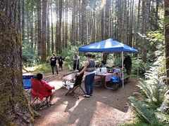 Camping 2018