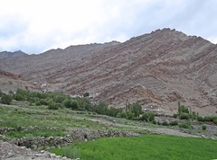 Ladakh - Hemis