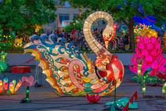 Chinese Lanterns show