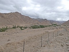 Ladakh - Likir