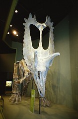 Sam Noble Oklahoma Museum of Natural History - 2002