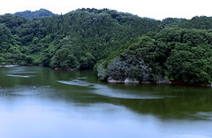 2018.Jun.Lake Shiroyama 城山湖の初夏