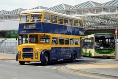 Eastbourne Classic Running Day 2018