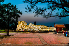 Feb 2018 Phra Buddha Sai Ayutthaya Thailand