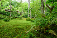 京都・夏 in 2018