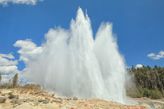 Steamboat Geyser, Yellowstone National Park