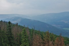 Mountains - Góry Opawskie 