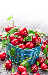 Visnje / Cherries